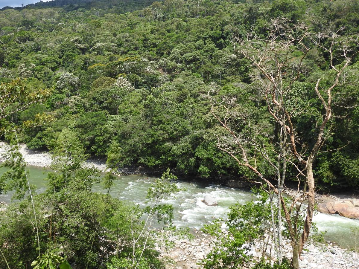 Posada Turistica Dantayaco Mocoa Esterno foto