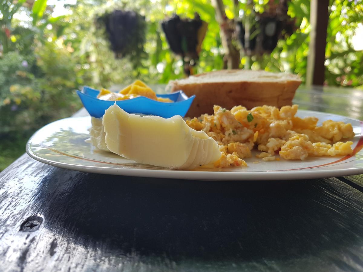 Posada Turistica Dantayaco Mocoa Esterno foto